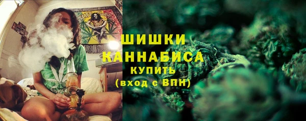 PSILOCYBIN Балахна