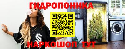 мяу мяу мука Заводоуковск