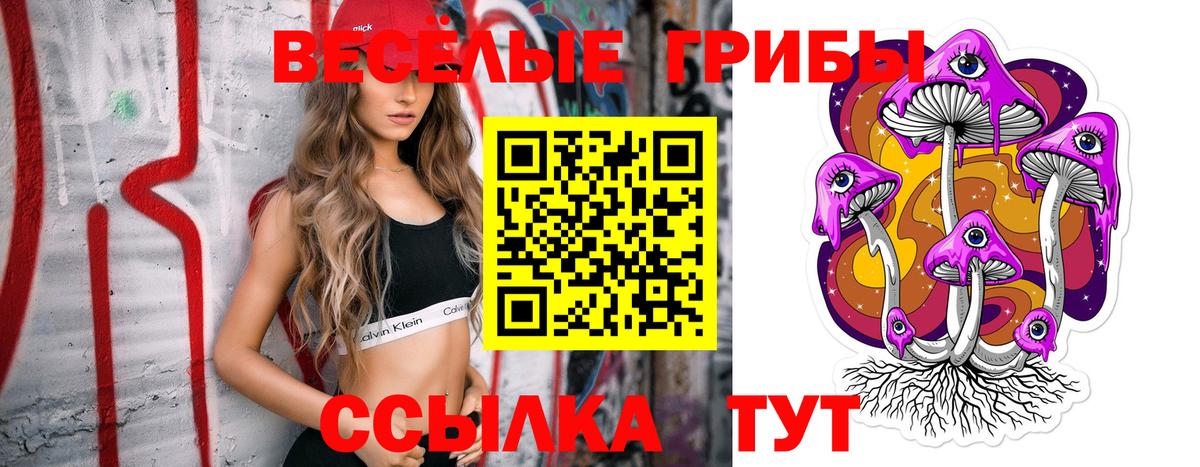 Псилоцибиновые грибы мухоморы  Вход с VPN  Ставрополь 
