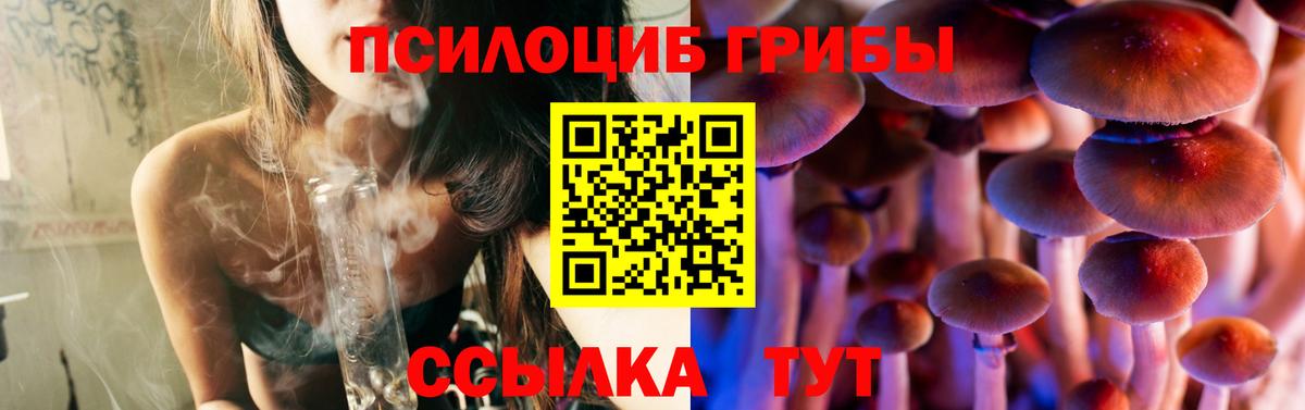 Псилоцибиновые грибы Psilocybe Ставрополь